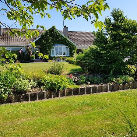 Meadow View B&B Ballymena Ngoại thất bức ảnh