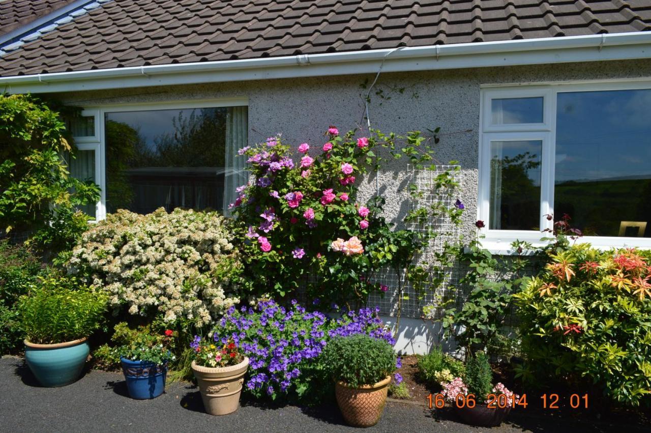 Meadow View B&B Ballymena Ngoại thất bức ảnh