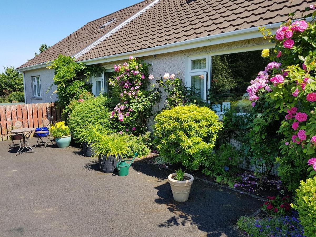 Meadow View B&B Ballymena Ngoại thất bức ảnh